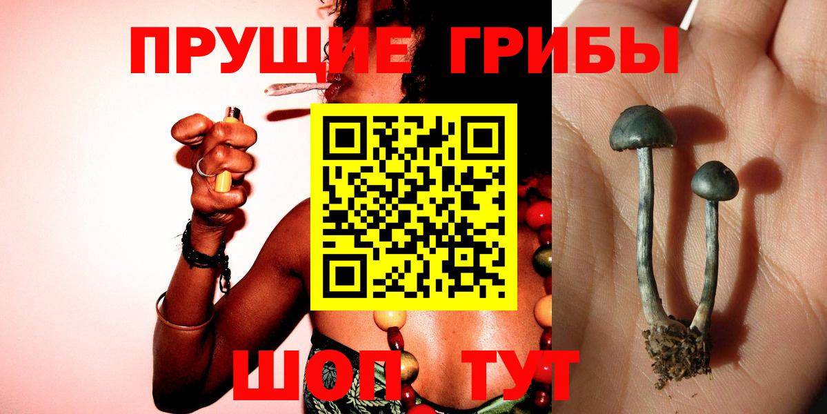 Галлюциногенные грибы мицелий Великий Устюг